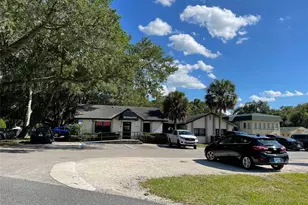 1725 Mount Vernon Rd / US Hwy 441, Leesburg, FL 34748 - Photo 1