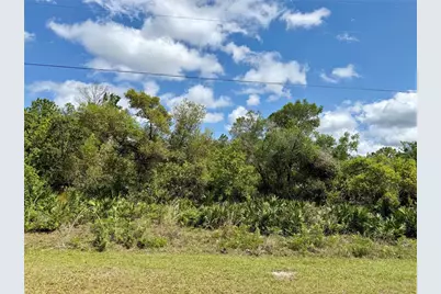 Lot 29 Apricot Avenue, Eustis, FL 32736 - Photo 1