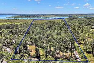 40325 Emeralda Island Rd, Leesburg, FL 34788 - Photo 1