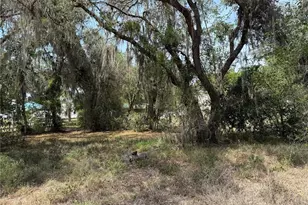 Vacant Land NW 8th Trail, Lake Panasoffkee, FL 33538 - Photo 1