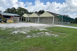 2145 Britt Rd, Mount Dora, FL 32757 - Photo 1