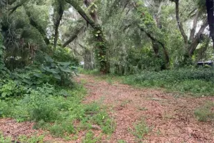 Palmetto, Sanford, FL 32773 - Photo 1