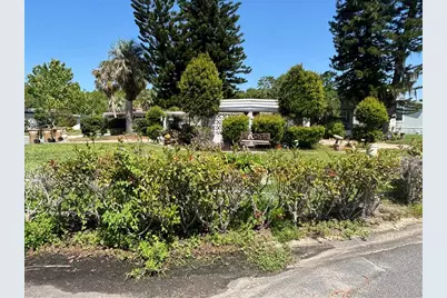 31545 Terrace Drive, Tavares, FL 32778 - Photo 1