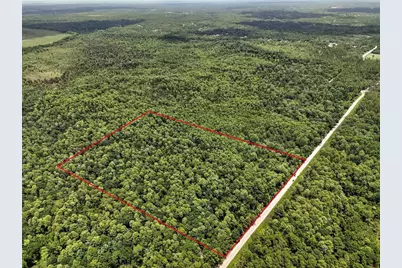 Maggie Jones Road, Paisley, FL 32767 - Photo 1