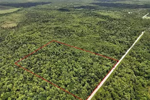 Maggie Jones Rd, Paisley, FL 32767 - Photo 1