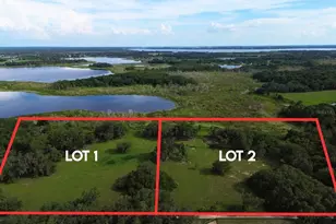 0 Lot 1 Catbrier Ln, Umatilla, FL 32784 - Photo 1