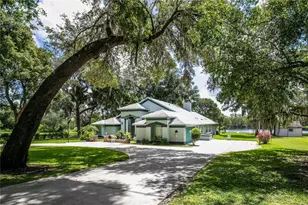 168 Pond Rd, Mount Dora, FL 32757 - Photo 1