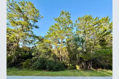Lot 6 Aspen Street, Eustis, FL 32736 - Photo 1