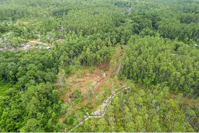 Tbd NE 125th Avenue, Fort Mc Coy, FL 32134 - Photo 1