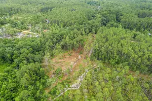 Tbd NE 125th Ave, Fort Mc Coy, FL 32134 - Photo 1