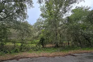 13311 Midway Ave, Astatula, FL 34705 - Photo 1