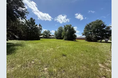 **tbd** Tarpon Avenue, Umatilla, FL 32784 - Photo 1