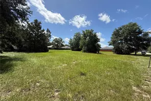 **tbd** Tarpon Ave, Umatilla, FL 32784 - Photo 1