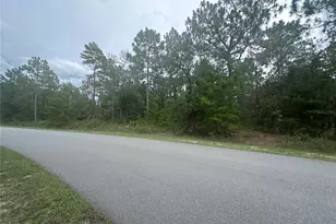 2223 Cr 243F, Wildwood, FL 34785 - Photo 1