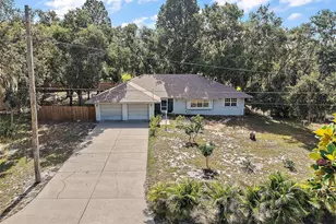 2620 McDonald Terrace, Mount Dora, FL 32757 - Photo 1