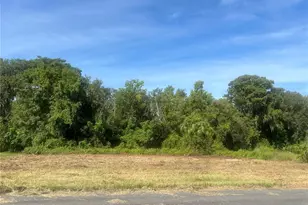 Redtree Dr, Leesburg, FL 34748 - Photo 1