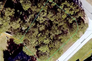 Pecan Rd, Ocala, FL 34472 - Photo 1