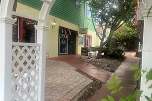 348 N Alexander St, Mount Dora, FL 32757 - Photo 1