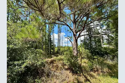 Oil Well Road, Clermont, FL 34714 - Photo 1