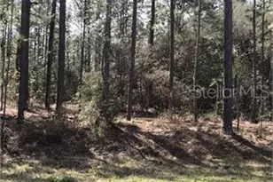 1933 Cr 243C, Wildwood, FL 34785 - Photo 1