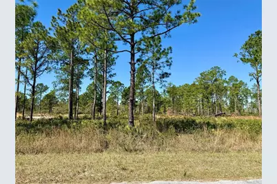 Lot 9 Honeysuckle Street, Eustis, FL 32736 - Photo 1