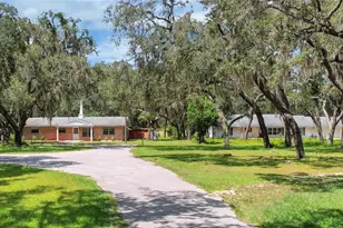 2901 Griffin View Dr, Lady Lake, FL 32159 - Photo 1