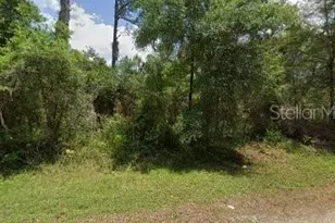 9437 N Agar Terrace, Dunnellon, FL 34434 - Photo 1