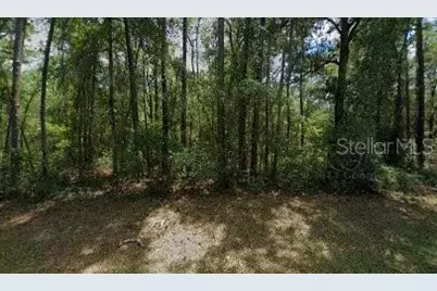 917 E Abend Drive, Dunnellon, FL 34434 - Photo 1