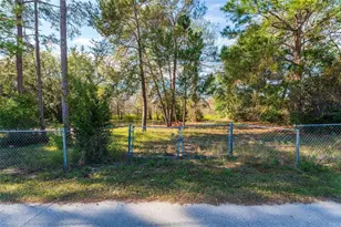 Sunland Ave, Leesburg, FL 34788 - Photo 1