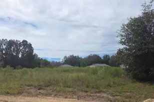 7704 N Fisher Terrace, Dunnellon, FL 34434 - Photo 1