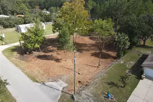 28802 Hibiscus Ave, Paisley, FL 32767 - Photo 1