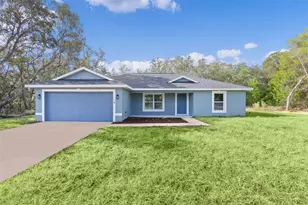 18 Fisher Terrace Way, Ocklawaha, FL 32179 - Photo 1