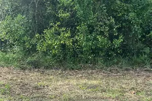 Pt Lts 120-122 Lk Eustis W Herrick Ave, Eustis, FL 32726 - Photo 1