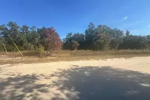 Tbd SW 146 Ct, Ocala, FL 34481 - Photo 1