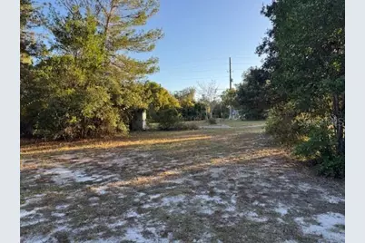 45848 Deer Street, Paisley, FL 32767 - Photo 1