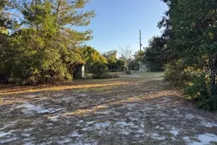 45848 Deer St, Paisley, FL 32767 - Photo 1