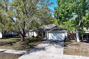 33809 Silver Pine Dr, Leesburg, FL 34788 - Photo 1