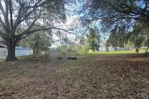 17100 SE 252nd Ave, Umatilla, FL 32784 - Photo 1