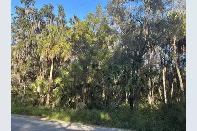 Treasure Island Avenue, Leesburg, FL 34788 - Photo 1