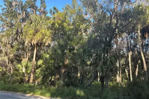 Treasure Island Ave, Leesburg, FL 34788 - Photo 1