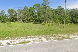 00 Nightwalker Rd, Weeki Wachee, FL 34613 - Photo 1