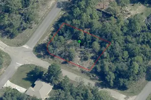 7983 N Jamaica Dr, Citrus Springs, FL 34433 - Photo 1