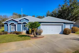 33122 Meadow Side Ct, Leesburg, FL 34748 - Photo 1