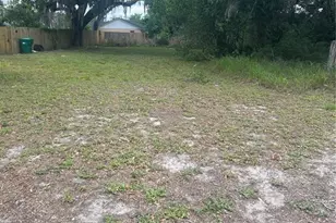 E Jackson Ave, Mount Dora, FL 32757 - Photo 1