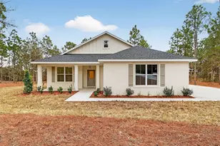 1543 Co Rd 243A, Wildwood, FL 34785 - Photo 1
