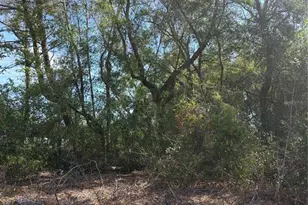 Tbd SE 161st St, Summerfield, FL 34491 - Photo 1