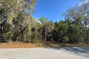 Cr 482C, Lake Panasoffkee, FL 33538 - Photo 1