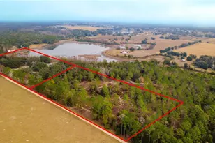 Empire Church Rd, Groveland, FL 34736 - Photo 1