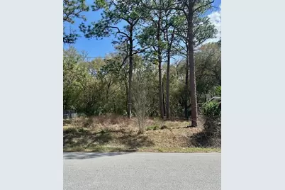 Tbd SE 99th Terrace, Belleview, FL 34420 - Photo 1