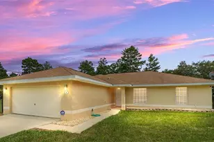 4 Malauka Pass Pl, Ocklawaha, FL 32179 - Photo 1